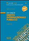 Manuale di diritto internazionale pubblico libro