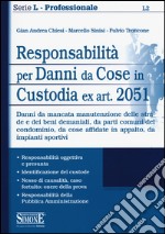 Responsabilità per danni da cose in custodia ex art. 2051 libro