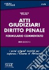 Atti giudiziari. Diritto penale. Formulario commentato libro