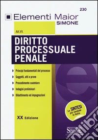 Diritto processuale penale