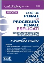 Codice penale e di procedura penale esplicati per l'udienza penale. Ediz. minore libro