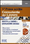 Consulente del lavoro. 1ª prova scritta. Diritto del lavoro e legislazione sociale libro