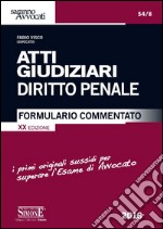 Atti giudiziari. Diritto penale. Formulario commentato libro