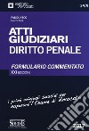 Atti giudiziari. Diritto penale. Formulario commentato libro