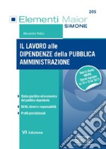 Il lavoro alle dipendenze della pubblica amministrazione libro