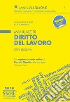 Manuale di diritto del lavoro. Con espansione online libro