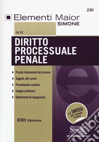 Diritto processuale penale