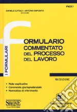 Formulario commentato del processo del lavoro. Con aggiornamento online libro