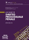 Manuale di diritto processuale penale libro