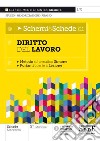 Schemi & schede di diritto del lavoro. Metodo schematico Simone libro