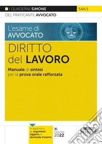 L'esame di avvocato. Diritto del lavoro. Manuale di sintesi per la prova orale rafforzata libro