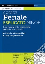 Codice penale esplicato. Con commento essenziale articolo per articolo e schemi a lettura guidata. Leggi complementari libro