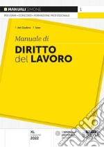 Manuale di diritto del lavoro libro