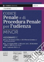 Codice penale e di procedura penale per l'udienza. Ediz. minor libro