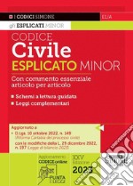 Codice civile esplicato. Ediz. minor libro