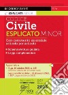 Codice civile esplicato. Ediz. minor libro