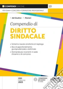 Compendio di diritto sindacale