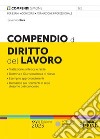 Compendio di diritto del lavoro libro di Riva Severino