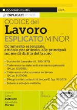 Codice del Lavoro esplicato. Commento essenziale, articolo per articolo, alle principali norme di diritto del lavoro. Minor