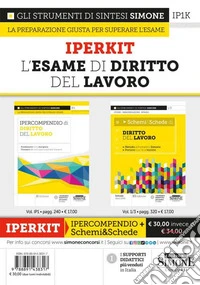 Iperkit. Esame di diritto del lavoro libro