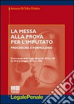 La messa alla prova per l'imputato libro