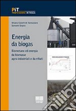 Energia da biogas