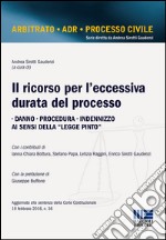 Il ricorso per l'eccessiva durata del processo libro