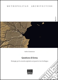 Questione di forma. Strategie per la crescita esplosiva nei paesi in via di sviluppo libro