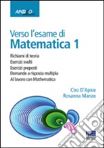 Verso l'esame di matematica 1. Con espansione online libro