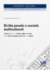 Diritto penale e società multiculturali. Delitti politici e delitti culturalmente motivati in Europa ed America Latina libro