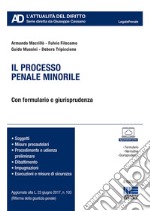 Il processo penale minorile libro