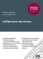 L'affidamento del minore libro