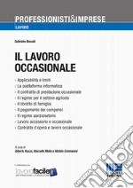 Il lavoro occasionale libro