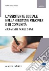 L'assistente sociale nella giustizia minorile e di comunità. Temi e parole chiave libro