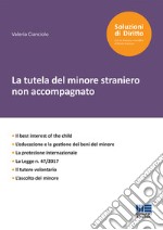 La tutela del minore straniero non accompagnato