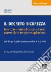 Il decreto sicurezza. Nuove norme in materia di circolazione stradale, sicurezza urbana, immigrazione e polizia locale libro