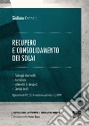 Recupero e consolidamento dei solai libro