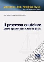 Il processo cautelare. Aspetti operativi delle tutele d'urgenza libro