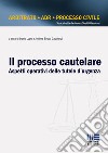 Il processo cautelare. Aspetti operativi delle tutele d'urgenza libro