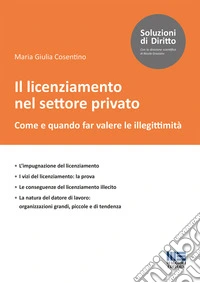 Il licenziamento nel settore privato libro