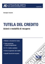 Tutela del credito libro