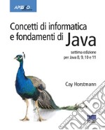 Concetti di informatica e fondamenti di Java libro usato