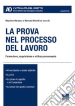 La prova nel processo del lavoro