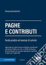 Paghe e contributi. Guida pratica ed esempi di calcolo libro