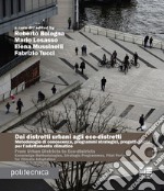 Dai distretti urbani agli eco-distretti. Metodologie di conoscenza, programmi strategici, progetti pilota per l'adattamento climatico. Ediz. italiana e inglese libro