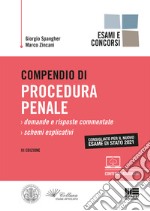 Compendio di procedura penale