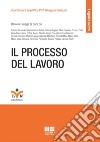 Il processo del lavoro libro