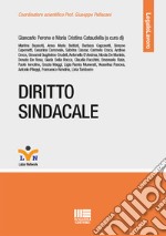 Diritto sindacale libro