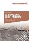 Gli intonaci: danni, difetti e prevenzione. Degrado patologico: diagnosi e correttivi. Con casi studio dettagliati libro