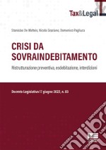 Crisi da sovraindebitamento libro